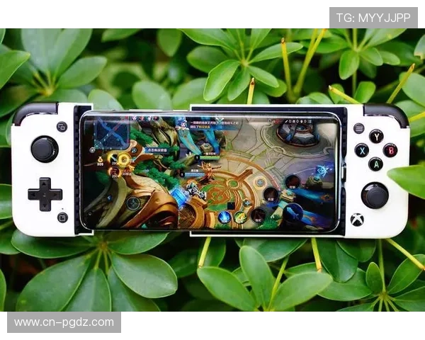 PG游戏平台APP支持多平台同步登录，玩家可以随时随地畅玩心仪游戏