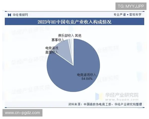 PG电子竞技俱乐部的发展历程与未来展望分析